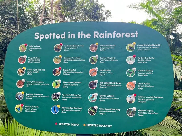 🇦🇺 Cairns is seriously SO family-friendly!