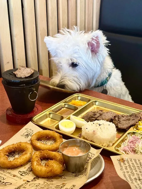 ​​🇨🇦 Toronto’s FIRST Pet-Friendly Restaurant 🐶