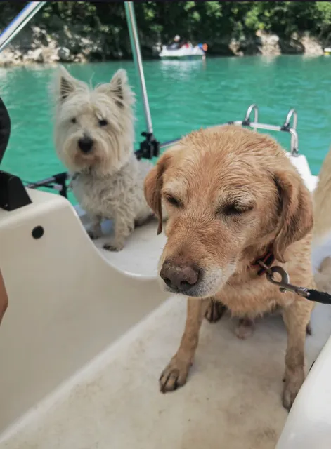 France ❣️ The azure waters and blue skies of Lake Saint-Croix