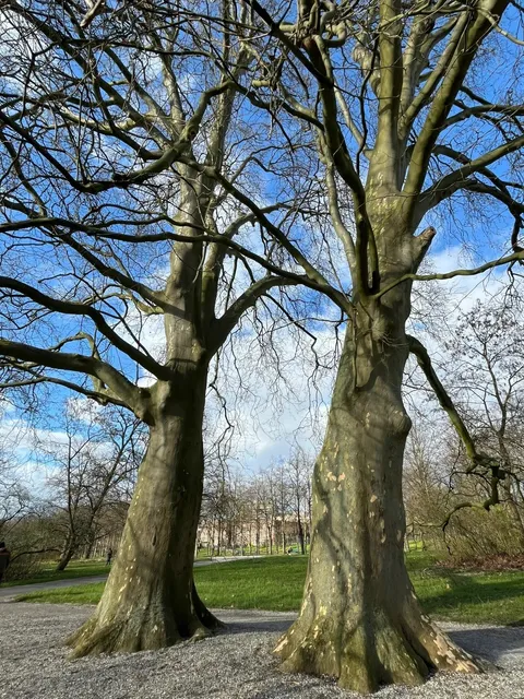 Discover Hannover, Germany📍