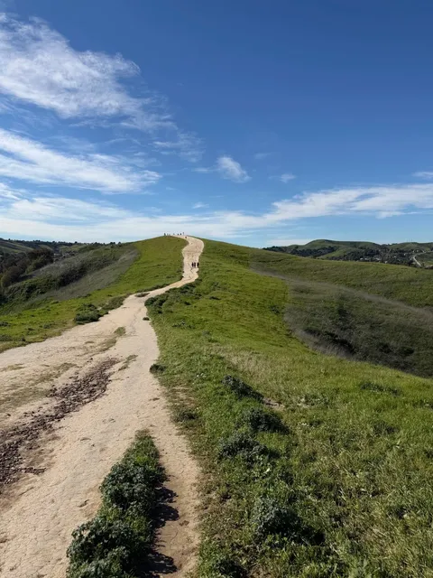 Forget the Beach – This Chino Hills Trail Is Pure Magic Right Now 🌼✨
