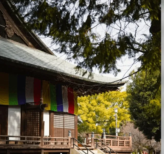 Tokyo Day Trip | Kawagoe One-day City Walk Route(1)