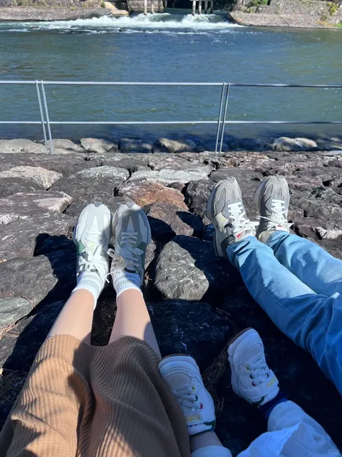 🌱 Day 4: Taking the Little One to Uji and Nara 🌸🌺🌿🍃