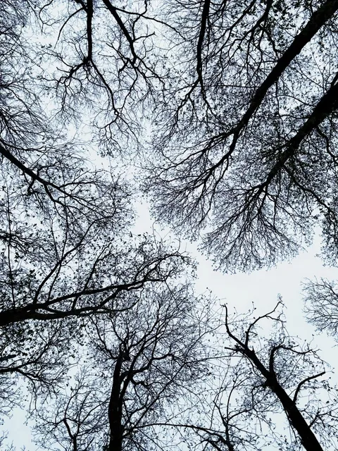 ​​🇬🇧 Abbey Wood Fossil Park: London’s Secret Jurassic Playground! 🌳