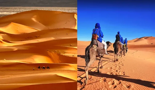 The Golden Gateway to the Sahara – A Once-in-a-Lifetime Paradise!​​