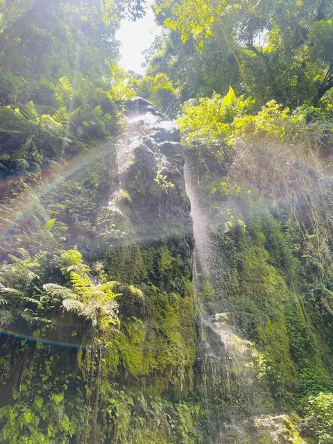Chasing Waterfalls in Tanzania’s Untamed Wilderness 🌿💦