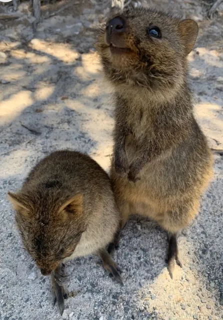 📍 Top 10 Must-Visit Attractions in Perth 🇦🇺