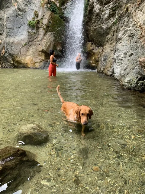 Eaton Canyon Trail - A Guide to Hiking and Beating the Heat 