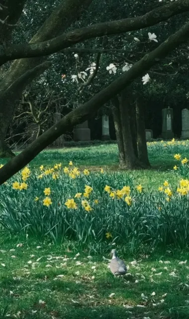 🇩🇰 Nordic Spring | Aarhus Spring Itinerary