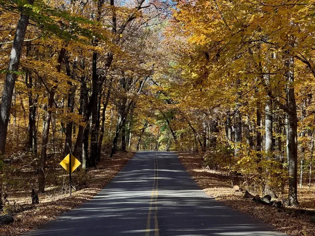 🍂 Madison | No Need to Go Up North—Fall Beauty Is Right in the City! 