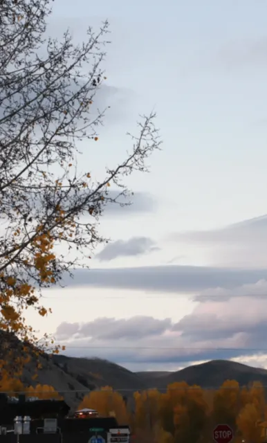 Jackson: A Stunning Tourist Town in the US