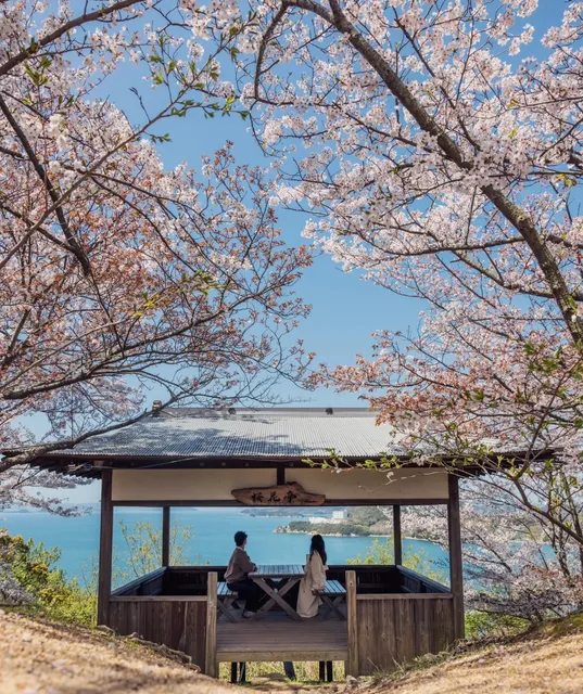 Japan's Super Off-the-Beaten-Path Cherry Blossom Spot 🌸