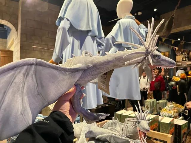 🔮 Chicago’s Harry Potter Magic Store