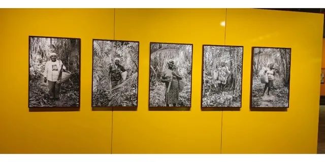 🇧🇷 SESC Pompéia | São Paulo's Industrial-Chic Cultural Hub