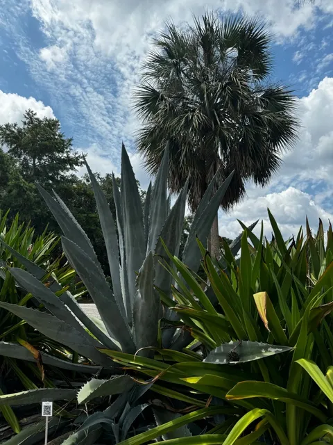 Gainesville is Truly Breathtaking