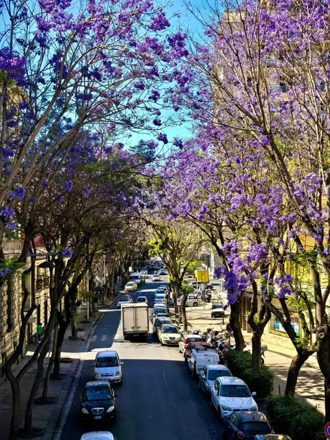 Catania | A Serendipitous City Walk on Sicily's East Coast 🌊🇮🇹