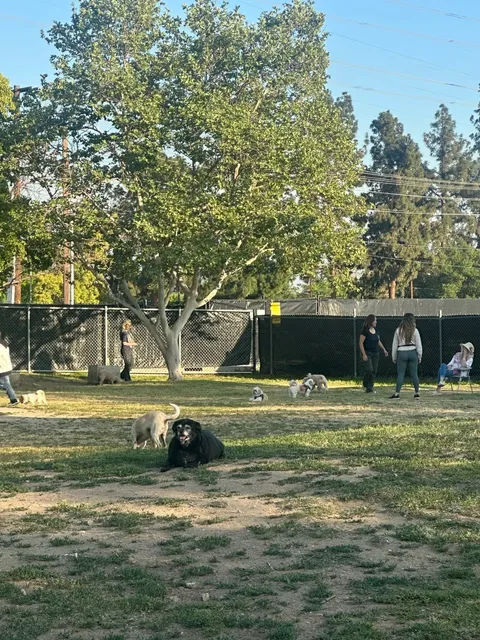 LA’s Happy Planet for Dogs 🐶🌳  