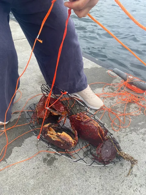 Crabbing at Pier 69 in Seattle