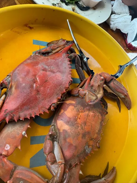 🦀 You MUST Try the Blue Crab! Delicious Food & Amazing Service! 🌟