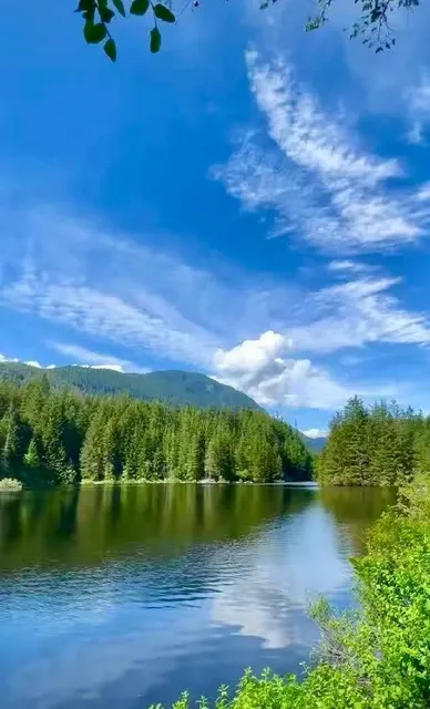 🇨🇦 ​​Rice Lake Trail: Cool & Easy Forest Walk!​​ 🌲✨