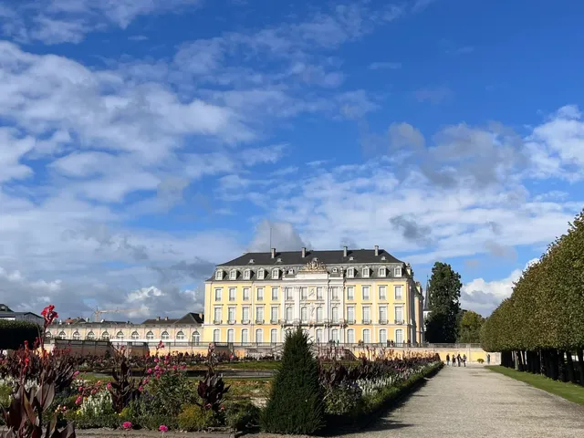 Cologne and Bonn: Great Spots for a Spring Outing 🌸🌿