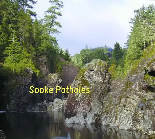 ​​5 Best Freshwater Lakes Near Victoria for Summer Fun!​​ ☀️