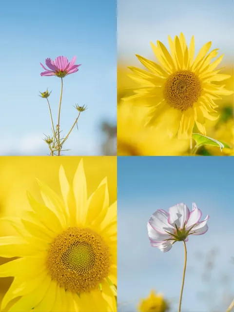 Birmingham Fun Farm Recommendation