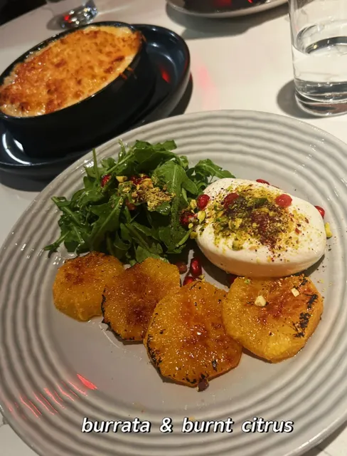 sava's + michigan creamery