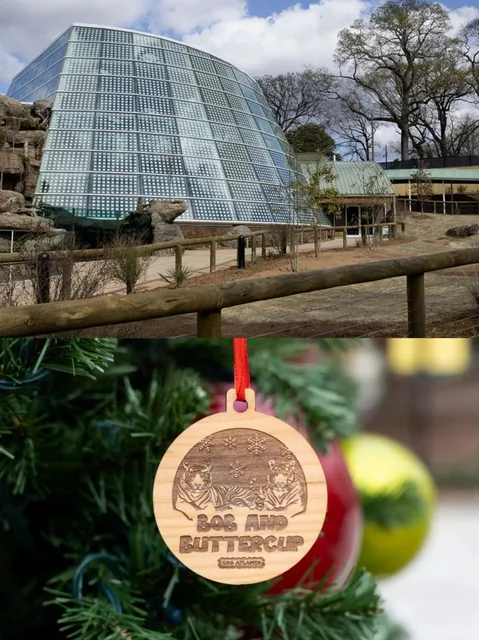 Atlanta Zoo｜Pandas in the Heart of Georgia! 🐼