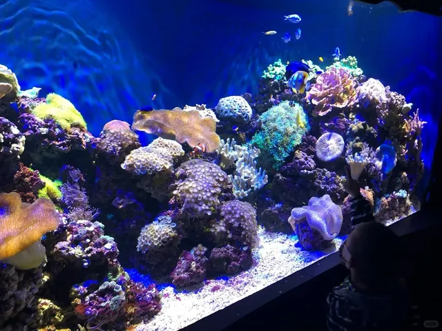 Greensboro science center