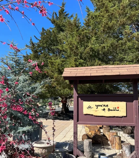 McKinney's Serene Sanctuary｜Thuong Hanh Buddhist Monastery