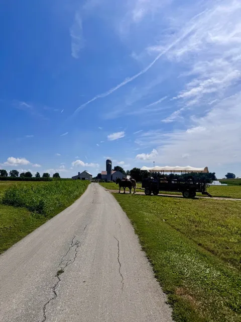 My New York Farm Getaway 🌿