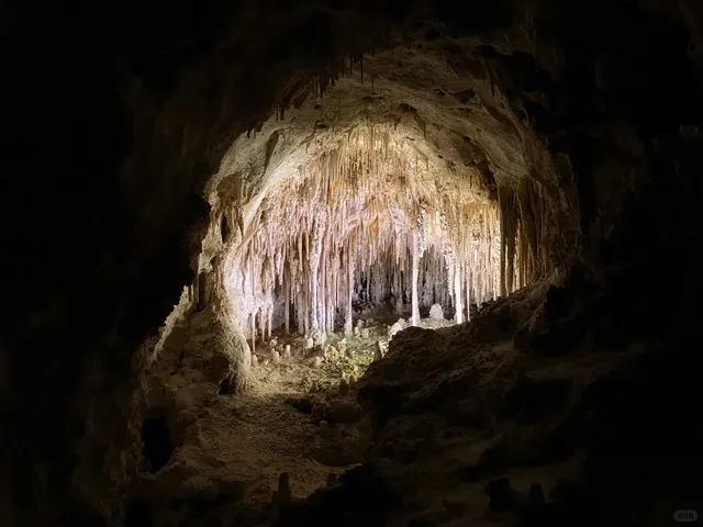 🌟 9 Days in New Mexico (Part 1)