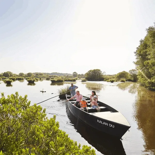 🌿 Brière Regional Natural Park: A Timeless Wetland Escape