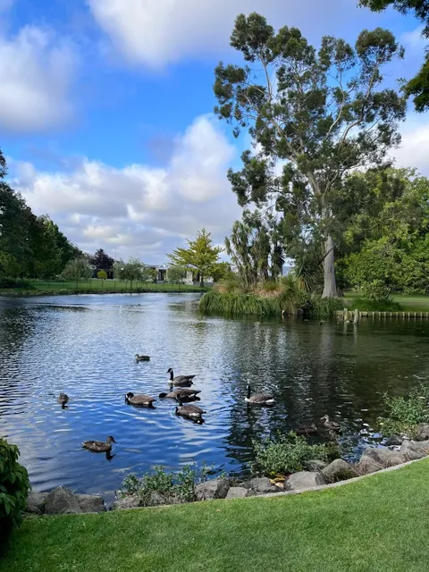 🇳🇿 Christchurch’s Hidden Oasis: Mona Vale Garden Park 🌿🦆