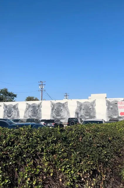 🇺🇸 The Ultimate Melrose Avenue Shopping Guide 🛍️