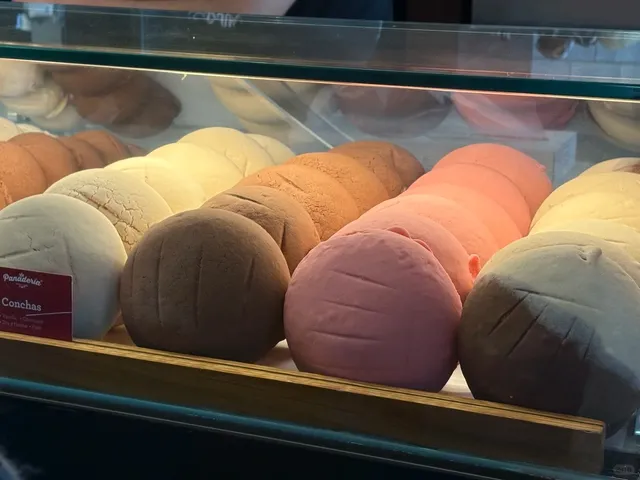 Don’t Visit San Antonio Without Trying This Spot! 🎉