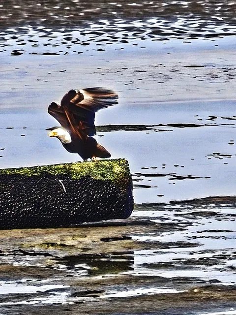 Iona Beach: A Challenging 8km Scenic Walk
