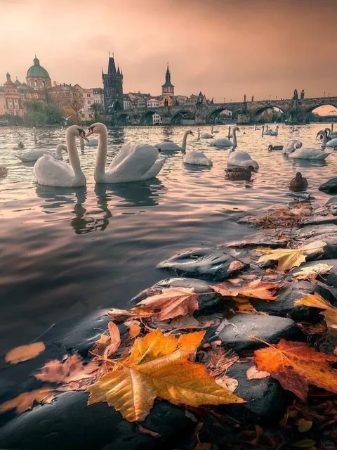🇨🇿 Prague: The World's First Entire City as a UNESCO Site
