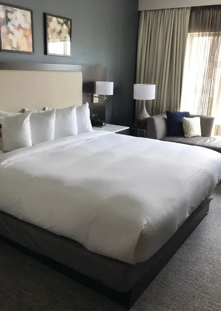 🏨 Hilton Garden Inn Minneapolis University Area 