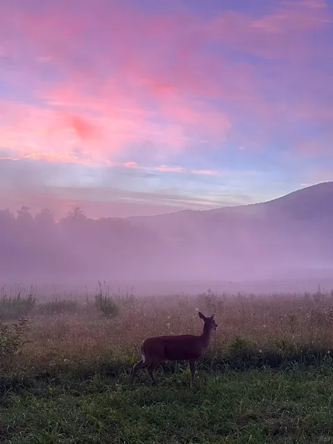 ⛰️ First-Time Visitor's Guide to Gatlinburg in the Great Smoky Mountai