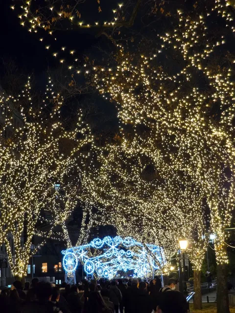 2024 Osaka Light Feast: An Ethereal Festival Ambiance 🌸🌺