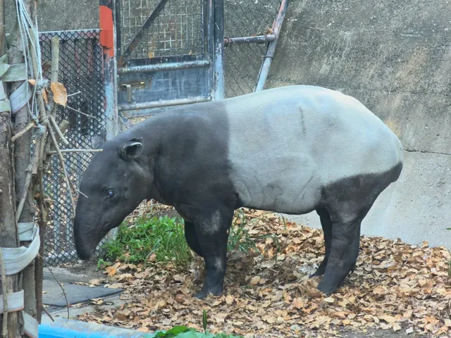 Fukuoka City Zoo and Botanical Garden 🌿