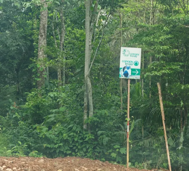 Soberanía National Park Adventure - A Wild But Tricky Trek! 🌿🐒