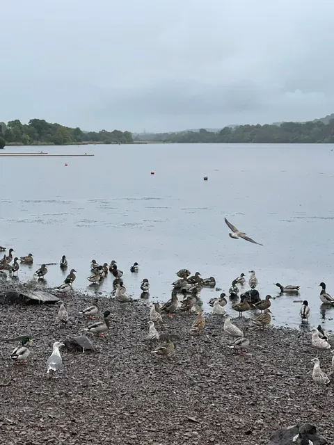 🏴󠁧󠁢󠁳󠁣󠁴󠁿 Glasgow Day Trip | Lochwinnoch Waterfall