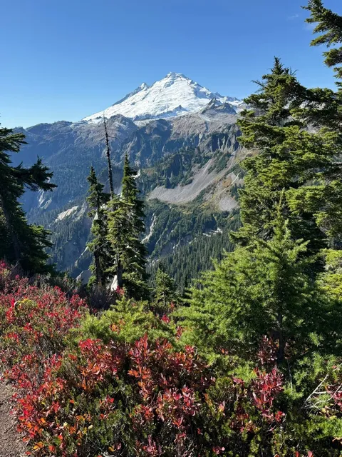 🌲 LIVE | How This Introvert Recharges: NATURE THERAPY!