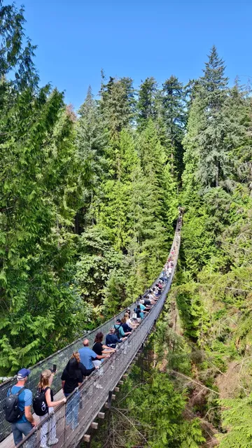 The Capilano Suspension Bridge is SUCH a blast! 🌉😆