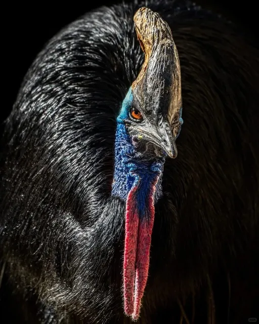 🦁 LA Zoo | 50% OFF Adventure in the Animal Kingdom!