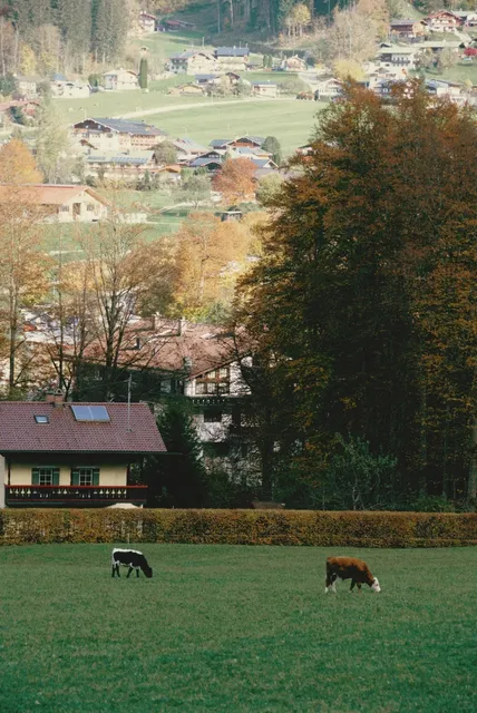 Ultimate 3-Day Munich Guide Using Public Transport Only 🚌