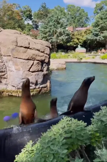 New York Family Stroll — Prospect Park Zoo (1)🐾